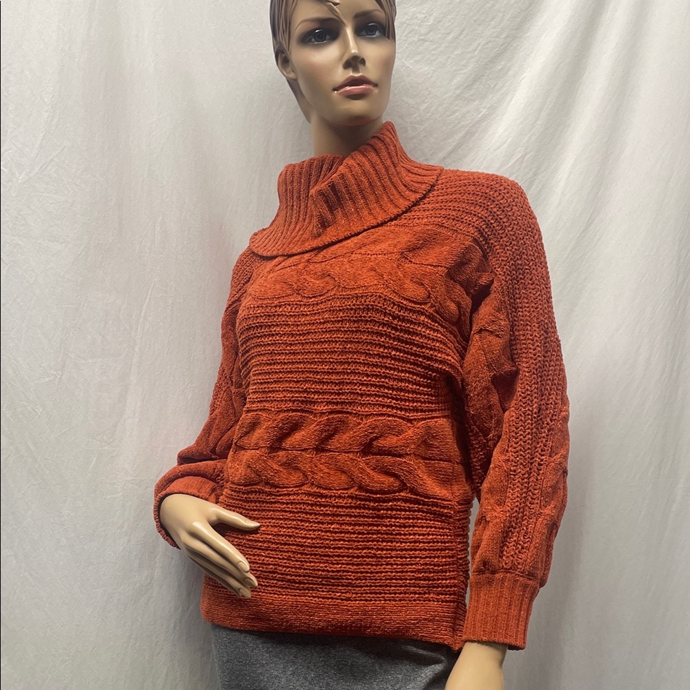 Allison + Zoe Women's Orange Cable Knit Turtleneck Sweater
